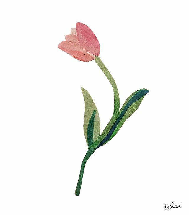 تويتر Erikaintheisland على تويتر １日１輪お花を描く やっぱりチューリップはかわいい 花 一輪の花 Illustration Illustrator 切り絵作家 切り絵 イラストレーター チューリップ お花 イラスト Flower 毎日飾る アート好きな人と繋がりたい