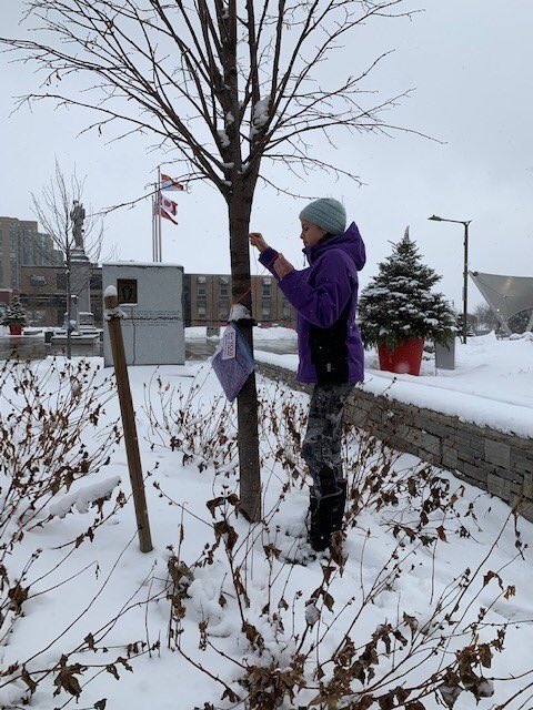 Les membres du Club de tricot ont réussi à tricoter dix-sept foulards de tailles, de texture et de couleurs variées qui ont été attachés à des arbres à Memorial Square afin de les rendre accessibles aux sans abri.  Nous sommes très fiers de leur contribution à la communauté!