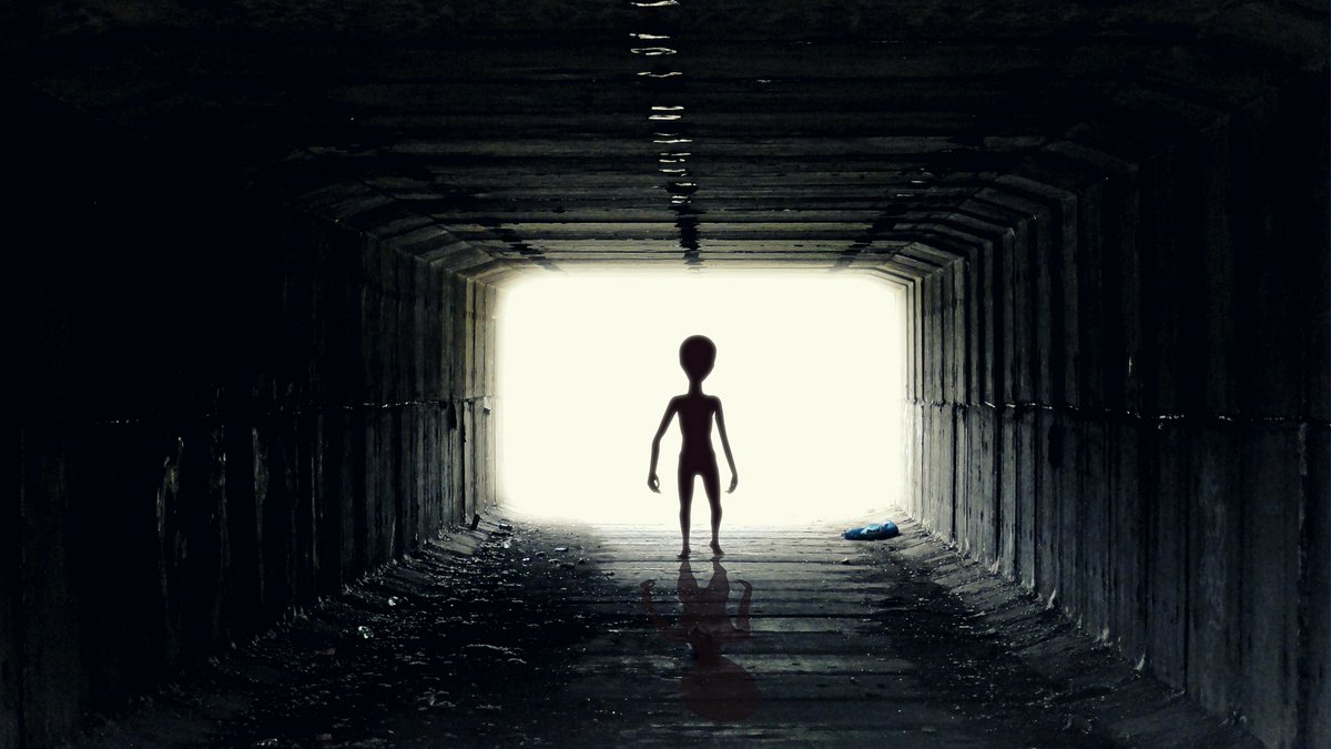 Who Knew Aliens Liked Hooch? Read 'Wrong Turn' Here: bjcondike.com/2019/09/18/wro… #BJCondike #Reading #Aliens