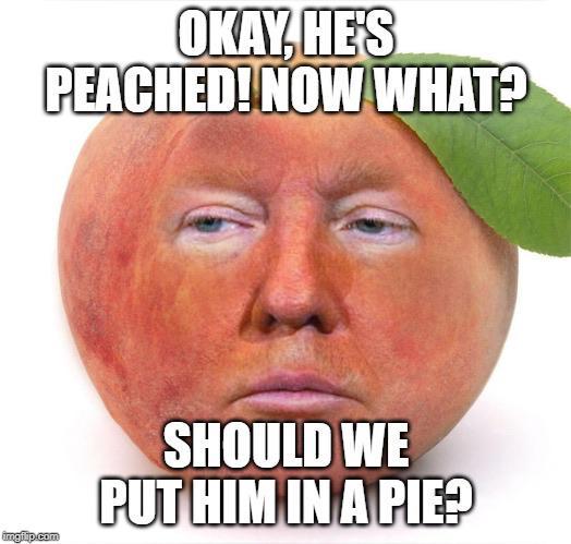 sshaw82's tweet photo. @realDonaldTrump https://t.co/JNa876vzkS