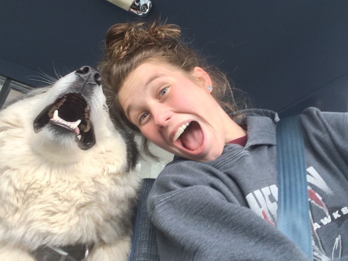 leliejane's tweet photo. Owners look like their dogs? https://t.co/lqZpuFCzj3