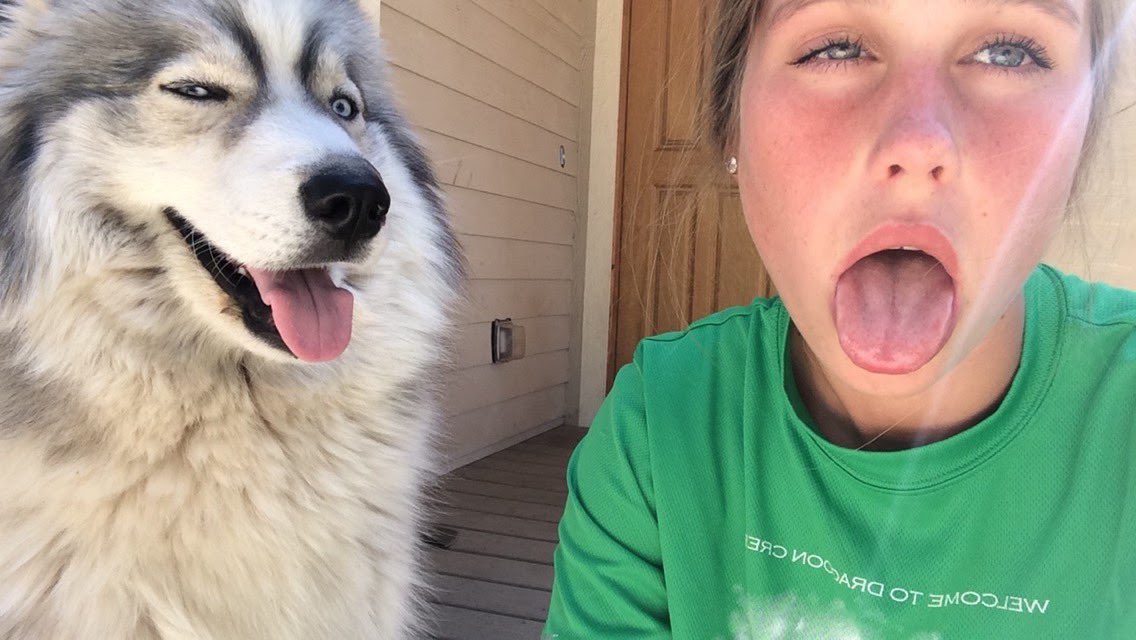 leliejane's tweet photo. Owners look like their dogs? https://t.co/lqZpuFCzj3