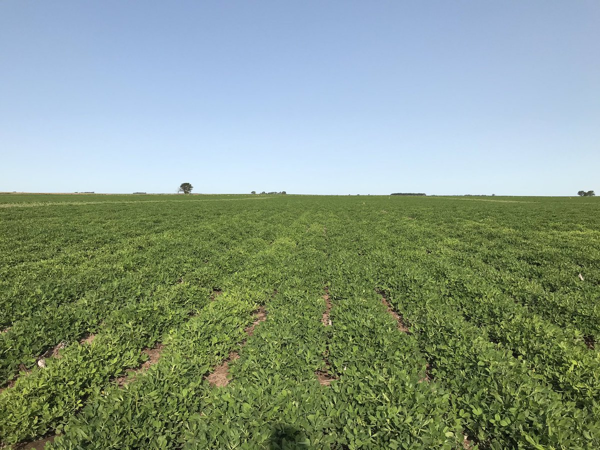 Yesi Feninger tweet media