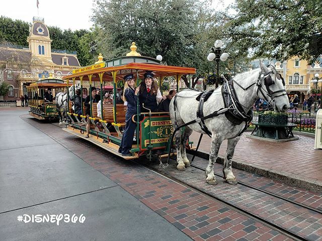 Disney366's tweet photo. Day 2938: The only real #Traffic is a #Backup on the #Rails.
#Disney366 @@Disneyland @@DisneylandToday ■ *
LOCATION:
#HorseDrawnCarriage #TownSquare #MainStreetUSA #Disneyland ■ *
DISNEY:
#Disneyland366 #Disney2020 #Disneyland2020 #Disney #DisneyTi… https://t.co/2trvgSizQc https://t.co/FIrQMeFLp5