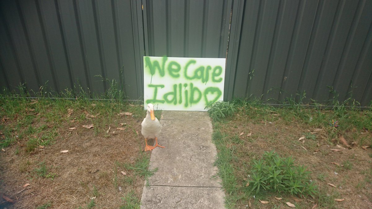 ChinookJo's tweet photo. My duck is as blind as the World but shows more empathy than most humans. #WeCareIdlib #SOSIDLIB #SaveIdlib #StopMassDisplacement #FakeTruce #WakeUpWorld #BlindWorld #SilentWorld #SpeakUp4Idlib #WithIdlibsChildren https://t.co/H5ZWciF7vN
