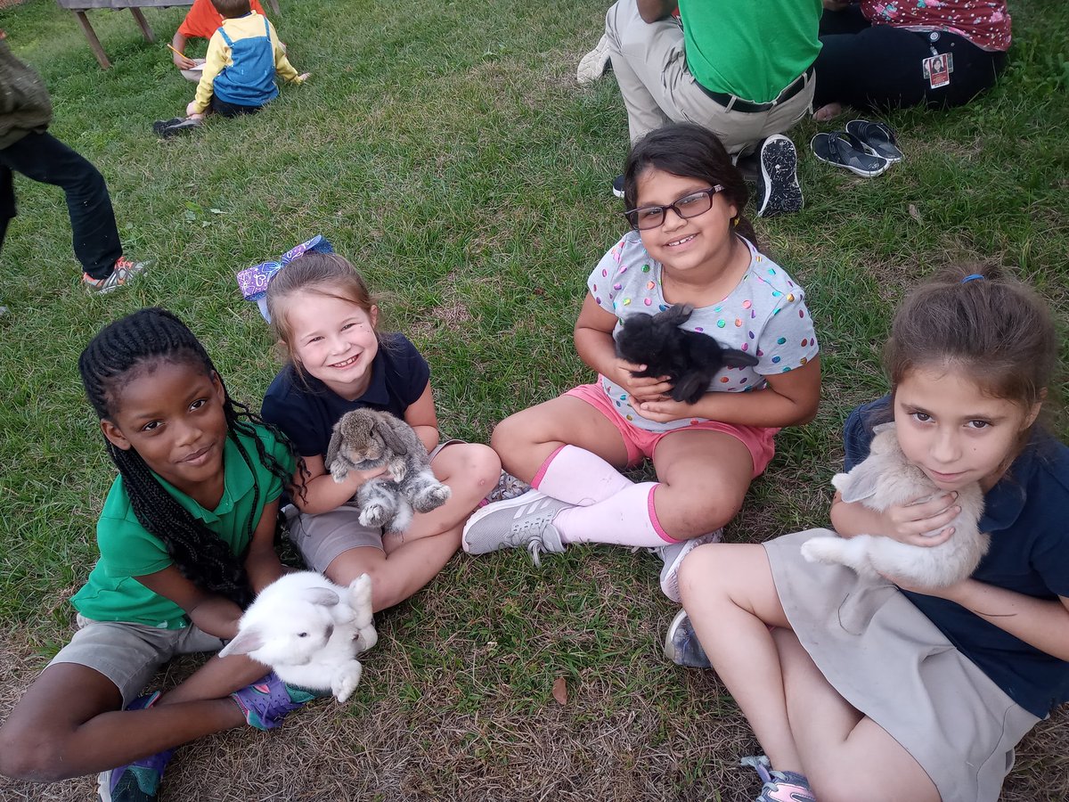 anisadventures's tweet image. 4H fun after school today! 🐇
#adventuresinsecond #4h #leagueofleopards @HCSDTOY2018