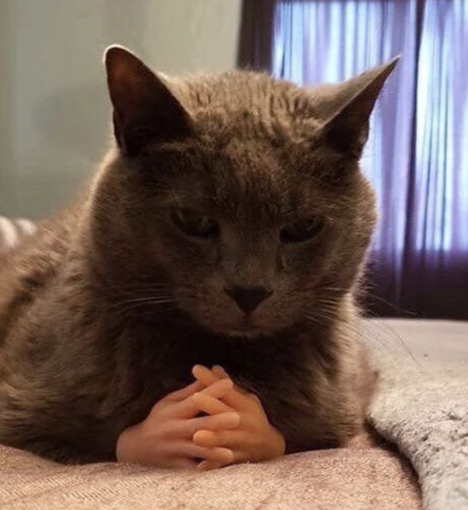 ArchieMcPhee's tweet photo. You should upvote this picture on Reddit! #fingerhands https://t.co/IMX8SfvNnv https://t.co/tQhEUntyUu