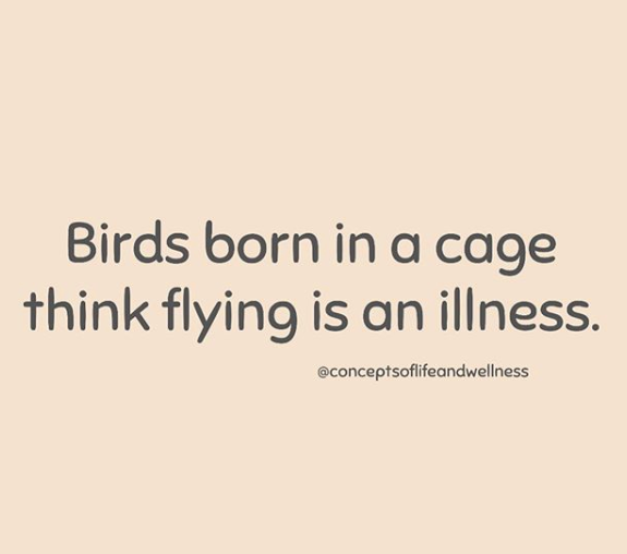 CWellnesss's tweet photo. Birds born in a cage think flying is an illness. #fear #metalhealth https://t.co/WZt5U5zUw2