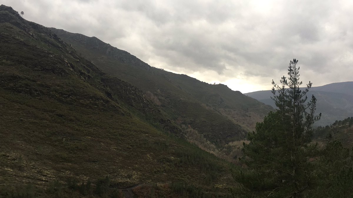 jlsobrino's tweet photo. Un mes para recorrer unas de las zonas más bonitas que conozco. #trail #ocastelo #quiroga #quirogatrailchallenge https://t.co/mzamH8A5zX
