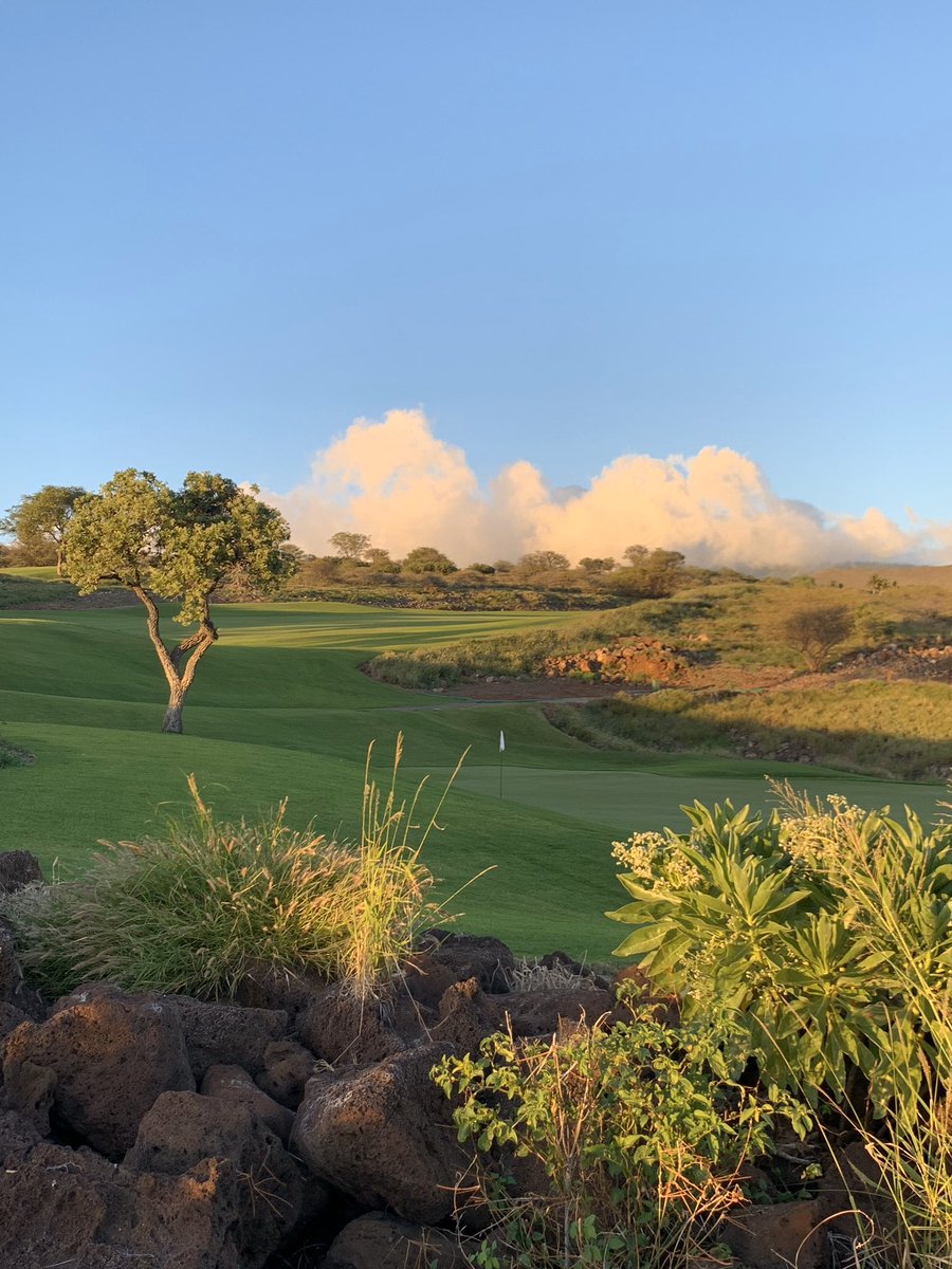 The unfiltered beauty of a <a href="/NicklausCo/">Nicklaus Companies</a> course 💯