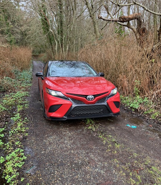 themotormiss's tweet photo. The 2020 Toyota Camry on Vashon Island. #vashonisland #letsgoplaces #toyota @GregThome https://t.co/Vr2SuHIRjM