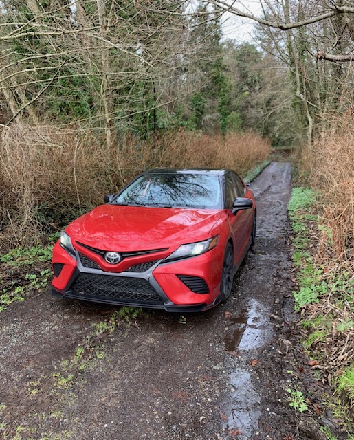 themotormiss's tweet photo. The 2020 Toyota Camry on Vashon Island. #vashonisland #letsgoplaces #toyota @GregThome https://t.co/Vr2SuHIRjM