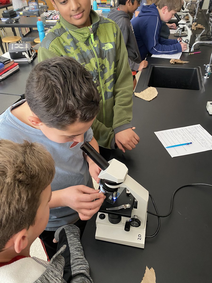 Freeman7Science's tweet photo. Love lab days!! Viewing live animal and plant cells (elodea and onion). #whoa #7thGradeScience #MPMSleopards #StinkyOnion #ICantFindIt https://t.co/42RzSjV6sc