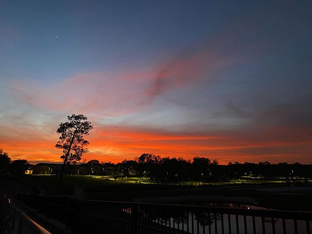 Jodicab22's tweet photo. Walked into a giant spider web butttt knocked out another 3 miles! Got some ninja moves in. 🤣🤣 #floridastuff #funeralformyfat #almostdied #imsureofit

📸 https://t.co/ZDgWJYs45F via https://t.co/5ttQiDWlXB https://t.co/5AAdT6aN2I