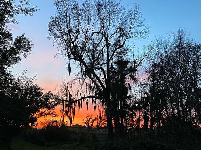 Jodicab22's tweet photo. Walked into a giant spider web butttt knocked out another 3 miles! Got some ninja moves in. 🤣🤣 #floridastuff #funeralformyfat #almostdied #imsureofit

📸 https://t.co/ZDgWJYs45F via https://t.co/5ttQiDWlXB https://t.co/5AAdT6aN2I