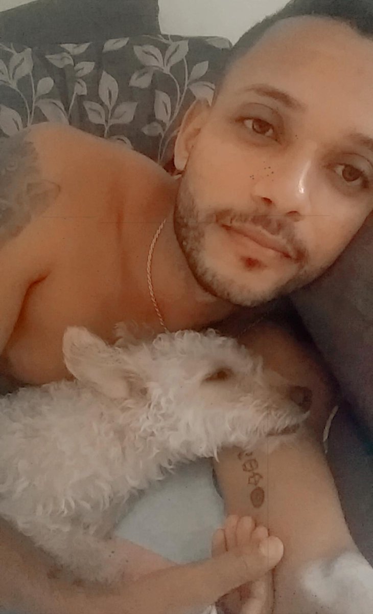 dutraisraell's tweet photo. #meudog #toby https://t.co/2m6JGbmTe4