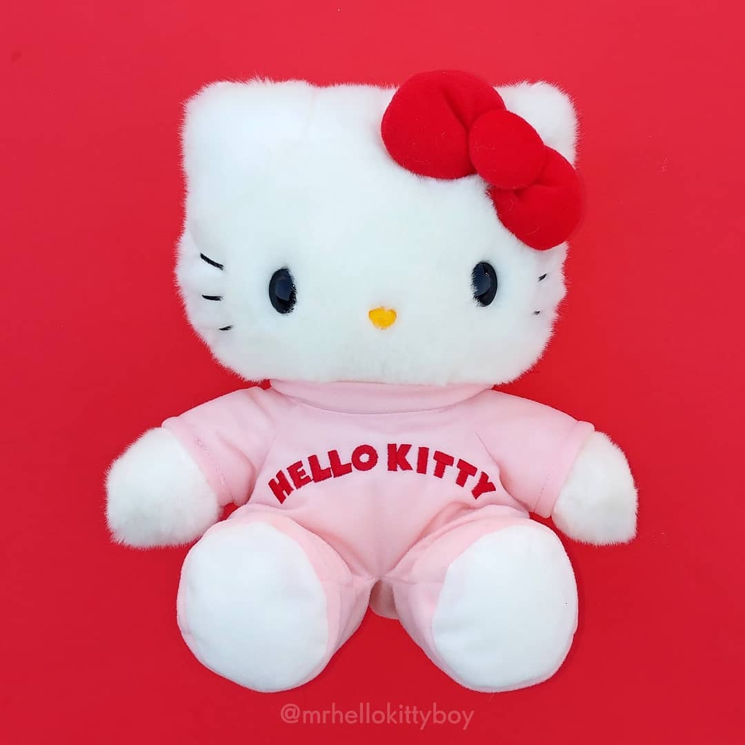 😻🎀🎁♥️ #HelloKitty45thAnniversary "Hello Again" Plush. THANK YOU! <a href="/sanrio/">Sanrio</a> <a href="/hellokitty/">Hello Kitty</a> for this Wonderful Gift from the #SmallStoryBigSmile Giveaway. Such a Special Keepsake to Commemorate Hello Kitty 45th Anniversary Year. #hellokitty45 #Sanrio #hellokitttfan #ilovehellokitty