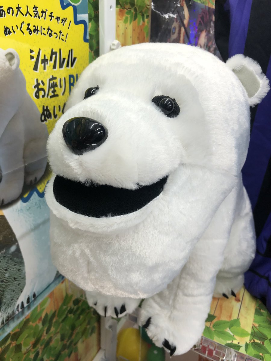 マンガ倉庫日向店アミューズ シャクレルプラネット シロクマリアルお座りbig シャクレルシロクマ 入荷しましたー ๑ ൧ ๑ シャクレルプラネット シロクマ ぬいぐるみ シャクレルシロクマ お座り Bigぬいぐるみ ガチャガチャ パンダの穴