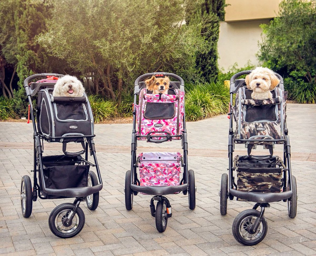 The travel squad is ready for the next adventure! All set! 🐶🐶🐶 #travel #DogsofTwittter #adventure #travelsystem #petiquepets #travelgram #beststrollers #comfytravel