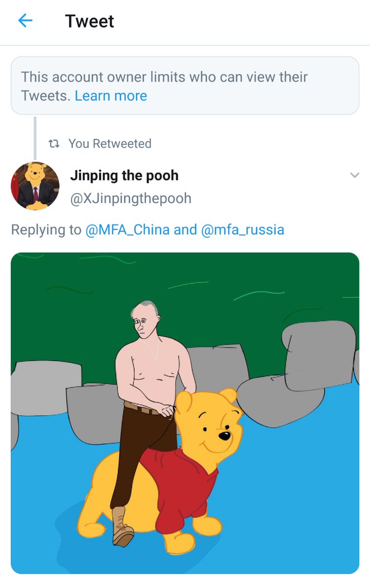 Jinping the pooh (@XJinpingthepooh) / Posts / X