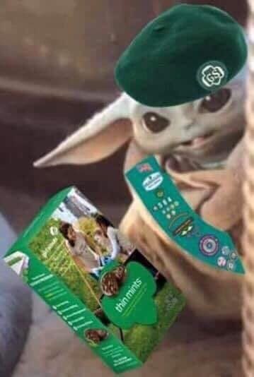 Be like @Iowa_SAHM and <a href="/dadlifeprobs/">Kyle</a> and purchase your Girl Scout cookies now! Link to order :
digitalcookie.girlscouts.org/scout/bailey78…