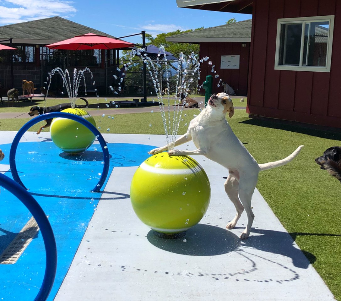 FidoH2o's tweet photo. Anyone missing summer yet?? https://t.co/RvxgGDHaN1