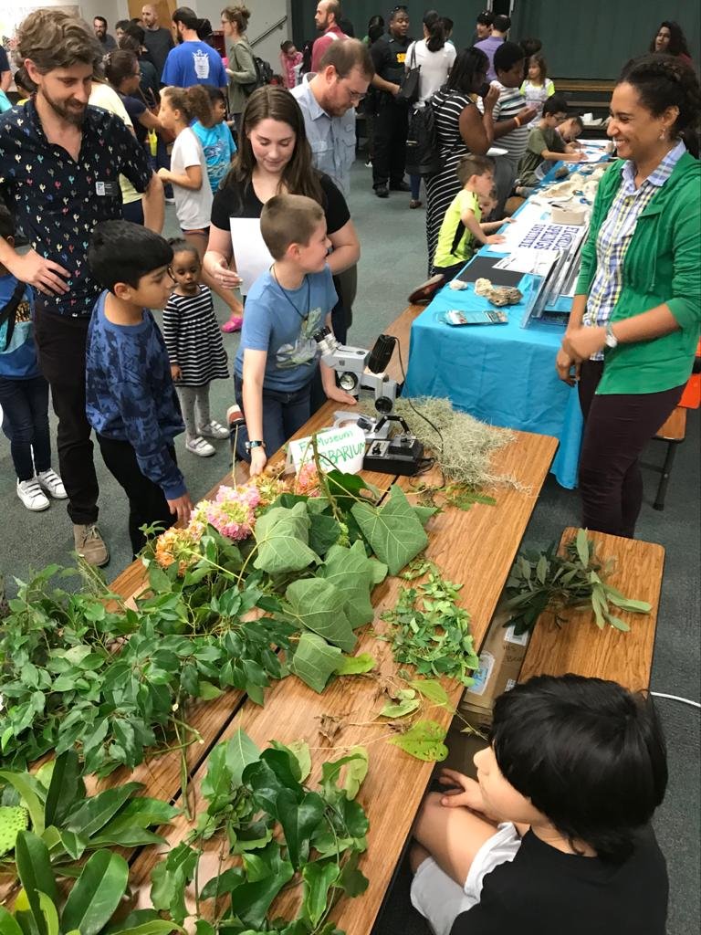 gloquidias's tweet photo. Amazing time tonight at Littlewood Science night with @BethanyZumwalde @YepYuley @marpajuelo #FLAS #futurebotanists #cakebatter plant #Dombeya https://t.co/G7QuUNGgJz