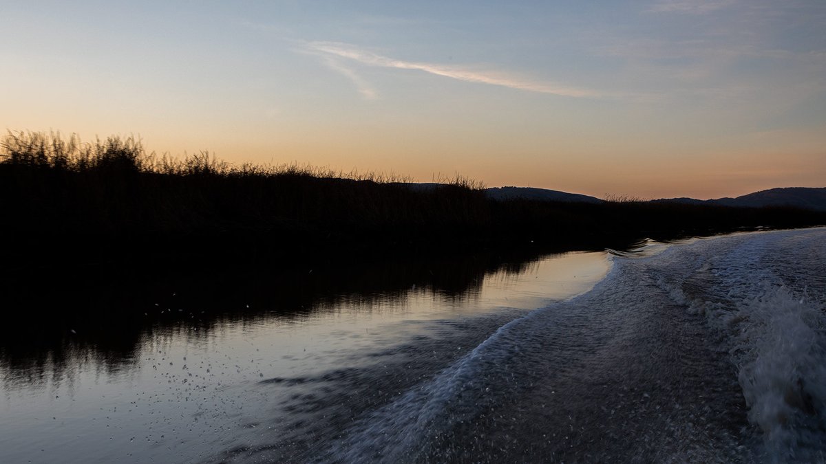 The Napa Valley and Napa Wetlands are visually stunning in the middle of the winter due to the clear blue skies and deep colors of sunset. In our gallery we explore the sunset colors and evening reflections of the Napa wetlands on our sunset tour with <a href="/WombatCharters/">Wombat Charters</a>