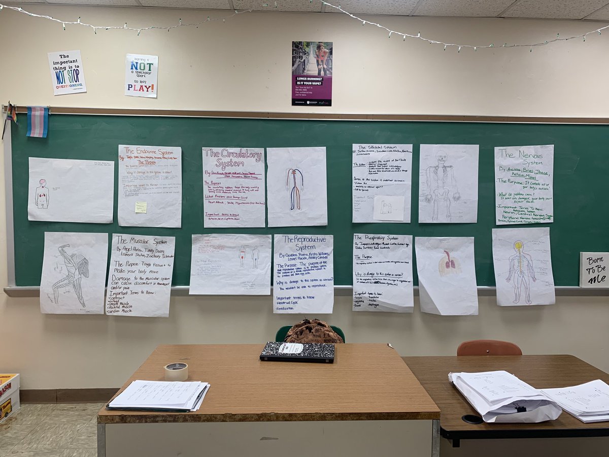 pe_mccarthy's tweet photo. We wrapped up our human body systems projects today ♥️💀. The class worked in groups to become “experts” on one system and then shared their knowledge via a 5 minute flipgrid video assessments. 👏🏻#rsdproud #healthgeek #middleschoolhealth #innovativelearning https://t.co/ubuyzAFAs5