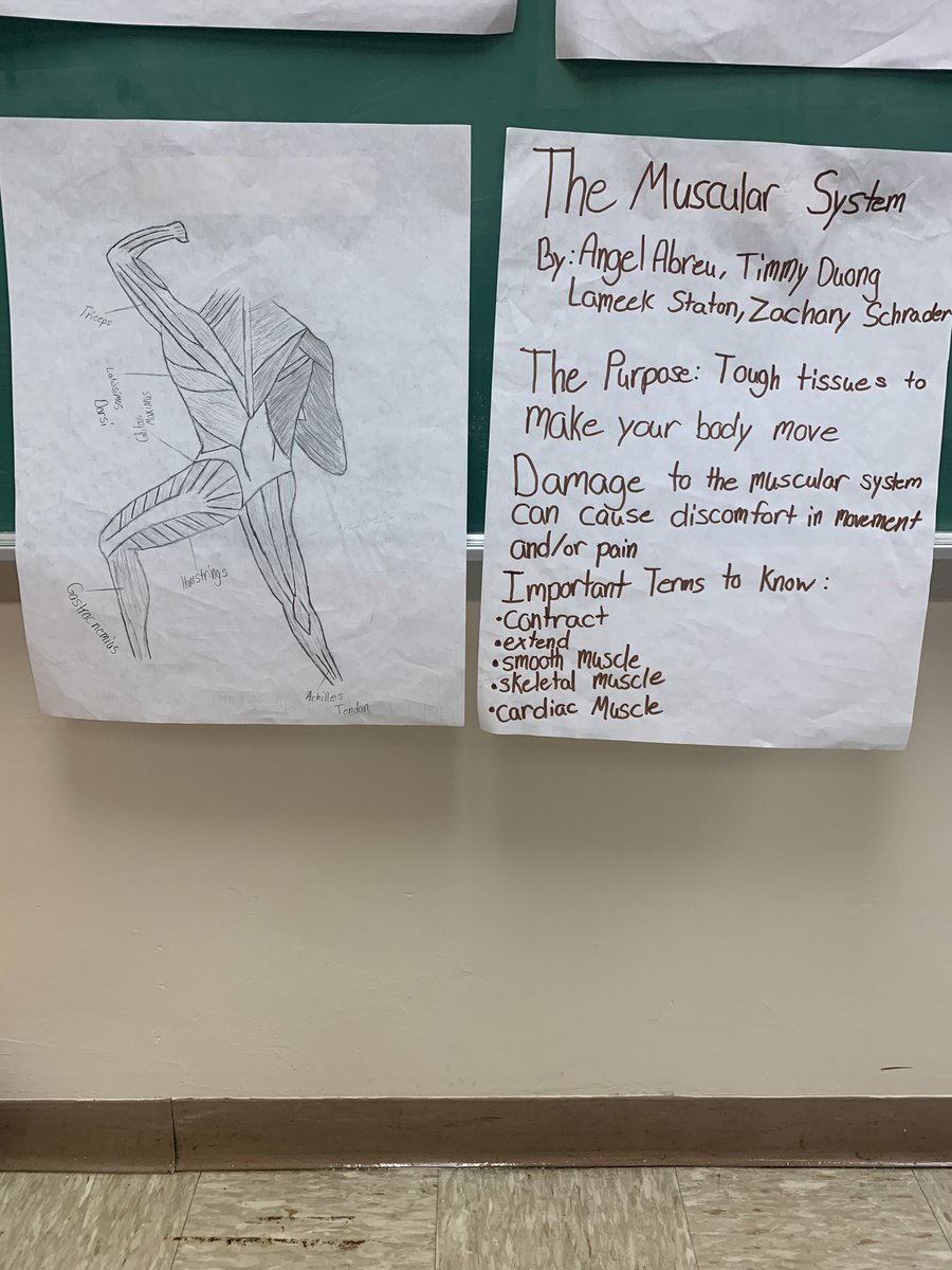 pe_mccarthy's tweet photo. We wrapped up our human body systems projects today ♥️💀. The class worked in groups to become “experts” on one system and then shared their knowledge via a 5 minute flipgrid video assessments. 👏🏻#rsdproud #healthgeek #middleschoolhealth #innovativelearning https://t.co/ubuyzAFAs5