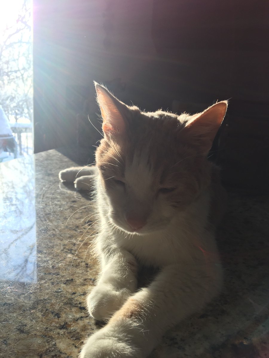 Larch218's tweet photo. My 17 y/o boyyy 😍 https://t.co/GbtTMTcXsH