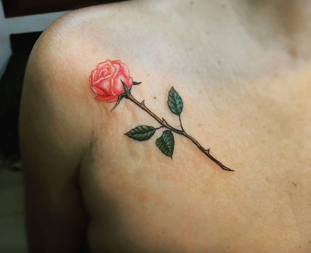 Tatuajes Tattoo Sur Twitter おはようございます バラの色により花言葉が違いますが バラ全般の意味は 愛 情熱 美 ちなみに庭で育てるには中国原産モッコウバラはトゲがなく育てやすいですよ タトゥー横浜 タトゥー Tattoos Tatuajes タトゥー
