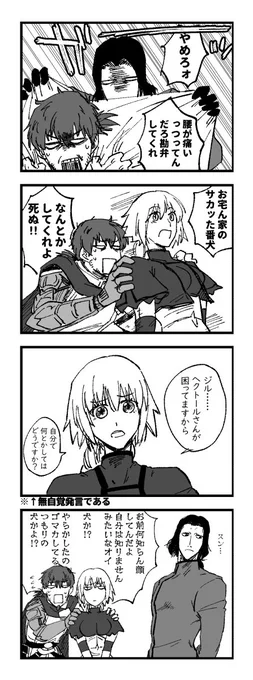 私はヘクトールとセイバージルのセットを推す者でもありますヨロシクどうぞ。 