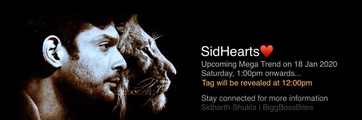 KandwalPranshul's tweet photo. #SidharthShukla #BB13 #ArtiSingh @sidharth_shukla #SidManiaEverywhere #StopTargettingSid @sehnaazgill @iamkamyapunjabi @DollyBindra @RealVinduSingh #PowerOfSid #WeekendKaVaarWithSalman #BiggBos13 #ColorsTV @ColorsTV @justvoot @BeingSalmanKhan https://t.co/r2SYc81iaS