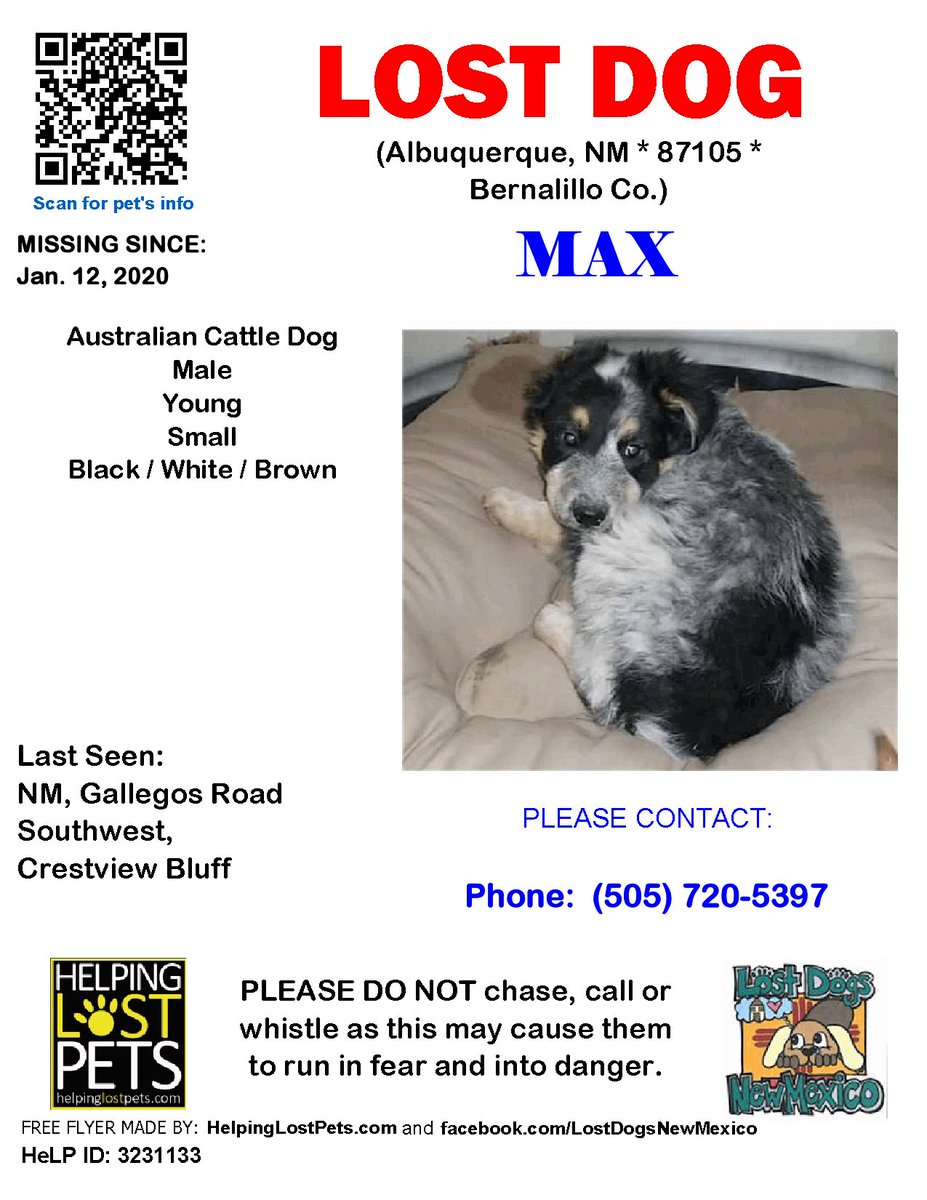 🛑🛑 #LOSTDOG #Max #Albuquerque (NM, Gallegos Road Southwest, Crestview Bluff) #NM 87105 #Bernalillo Co. , #Lost #Dog 01-12-2020!, Small / Young / Male / #AustralianCattleDog / Black / White / Brown facebook.com/LostDogsNewMex…