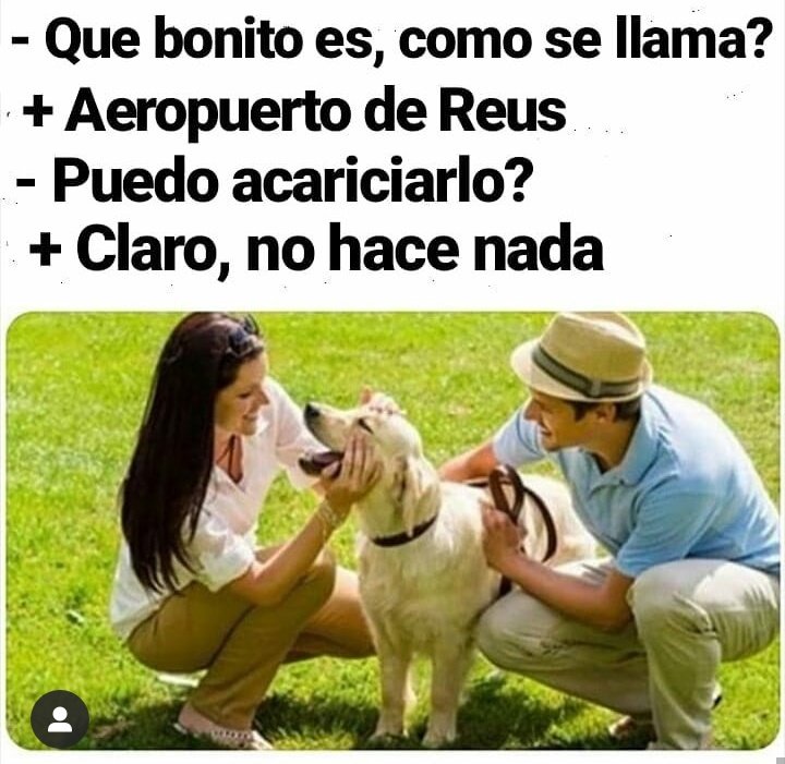 Reus_memes (@memesreus) on Twitter photo 