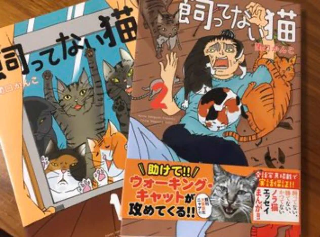 どうやら長らく品薄だった『飼ってない猫①』の重版分が店頭に回りはじめたようです!
昨年末あたりからモーニングで知った方も、コミックDAYSでは読んでたという方も①②を揃えやすくなったこの機会にぜひ!
エピソードごとのリアル猫写真も掲載!
電子もいいけど紙のコミックスもいいものですよ…✨ 