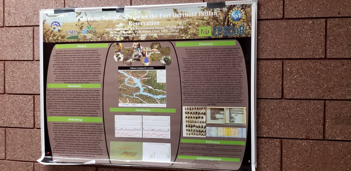 NDEPSCoR's tweet photo. Today @NDEPSCoR employees Scott, Megan, and Shireen visited @NHSC1973 Nueta Hidatsa Sahnish College. Great to see all the interesting research the students and faculty are working on. Also, beautiful murals everywhere. #STEM #STEMPathway #Art #Education #Partnerships #Research https://t.co/kdV9zJATRb