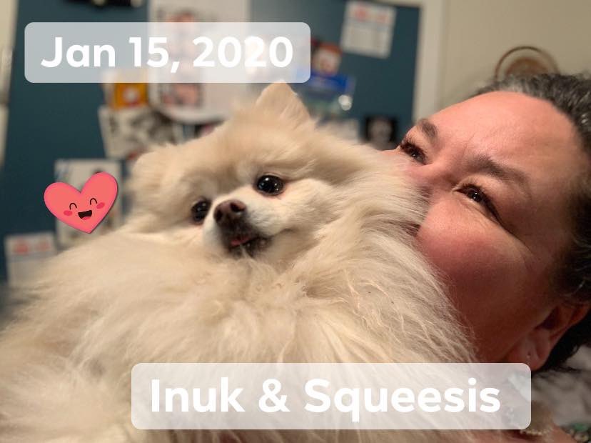 Inuk360's tweet photo. ALL IS RIGHT; AGAIN ... WE ARE BOTH HOME!
πΆπ
#squeesis #squeesisandinuk #yzfpom #myhuman #pomeranian #blondepom #pom #pomcation https://t.co/bpJHi3xwfD