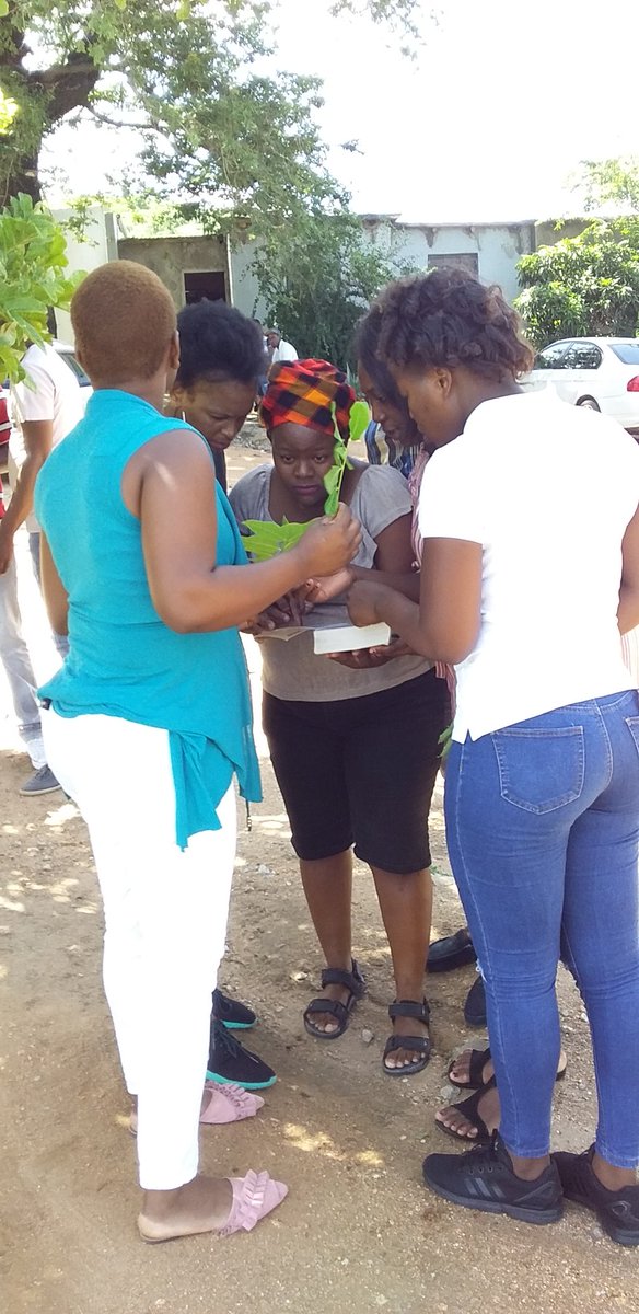 Sbu_20's tweet photo. Conservation classes started. #EconomyofWildlife @GwfOnline https://t.co/llOtZx0H9e