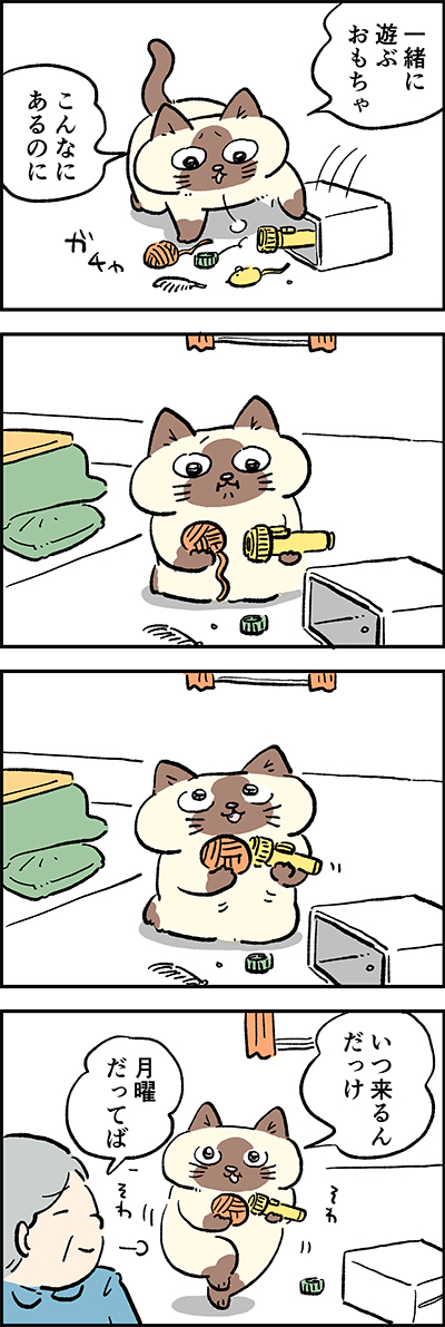 あんずちゃん…だれ??

第47話「忘れっぽい」

『猫のおふくちゃん』の最新話は毎週金曜日に連載中♪
⇒( 

#猫のおふくちゃん 