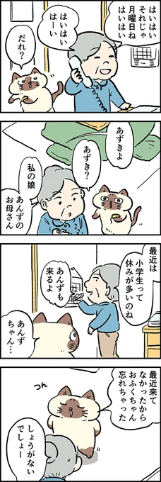 あんずちゃん…だれ??

第47話「忘れっぽい」

『猫のおふくちゃん』の最新話は毎週金曜日に連載中♪
⇒( 

#猫のおふくちゃん 