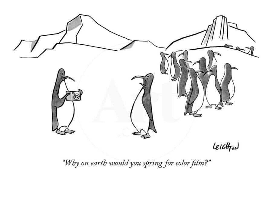 nobodys_muse's tweet photo. #photographerhumor https://t.co/IVgDUVi6Mv