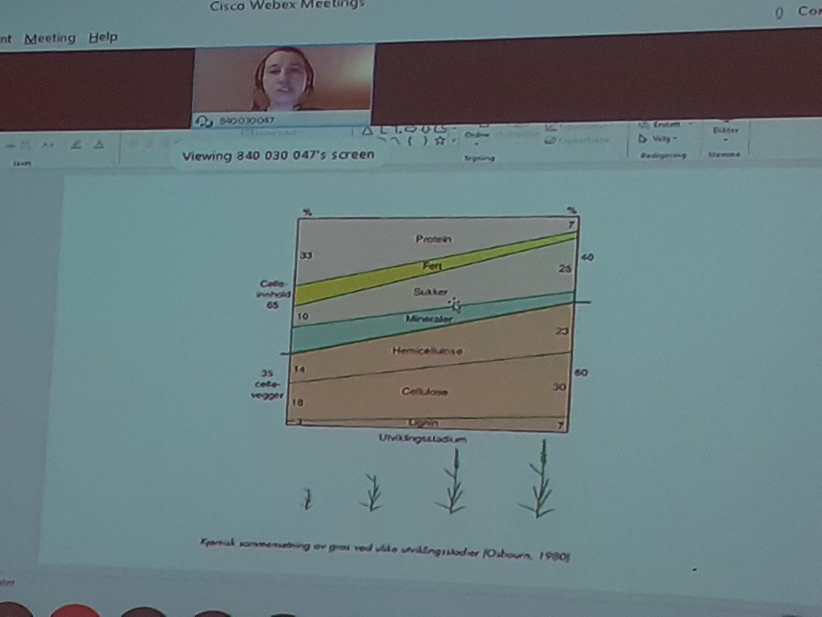 EllaAnu's tweet image. Agricultural language course group practiced English also in a cowhouse👍. New ideas and best practises with Elin Sikkeland/Norway&amp;amp;John Yeomans/Wales via Skype aswell. #AikaaOn #discussiongroups #international #languagecourse #bestpractises @ProAgria