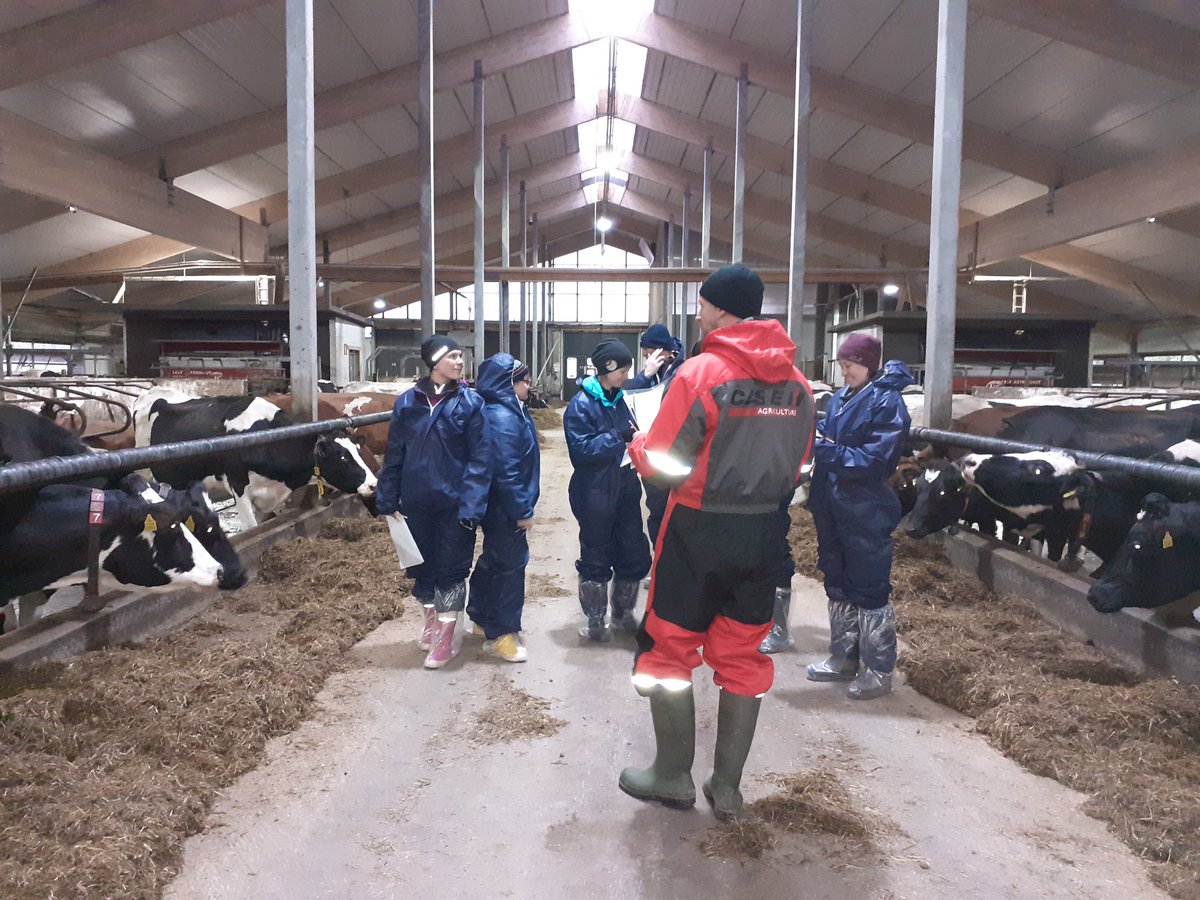 EllaAnu's tweet image. Agricultural language course group practiced English also in a cowhouse👍. New ideas and best practises with Elin Sikkeland/Norway&amp;amp;John Yeomans/Wales via Skype aswell. #AikaaOn #discussiongroups #international #languagecourse #bestpractises @ProAgria