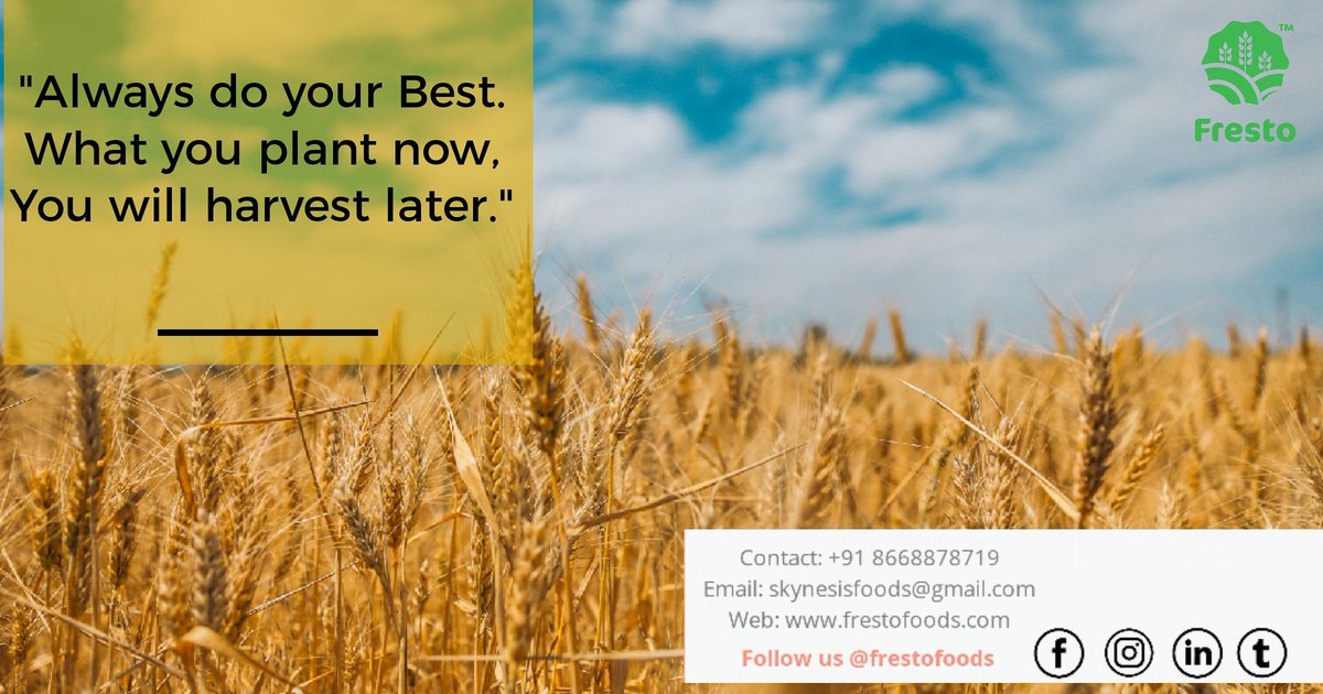 FrestoFoods's tweet photo. ‘𝗜𝘁 𝘄𝗶𝗹𝗹 𝗯𝗲 𝗷𝘂𝘀𝘁 𝘄𝗵𝗮𝘁 𝘆𝗼𝘂 𝘄𝗮𝗻𝘁.’

#roastedwheat #readytoroastwheat #healthywheat #healthyfoods #roastedwheat #healthysnacks #roastedsnacks #healthyeating #snacks #roastedgrains #puffedwheat #richindietaryfibre #goodfood #morninganacks #diabeticsnacks https://t.co/Vsvmip5nbv