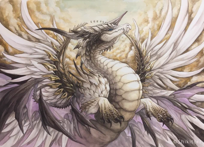 #AppreciateADragonDay 