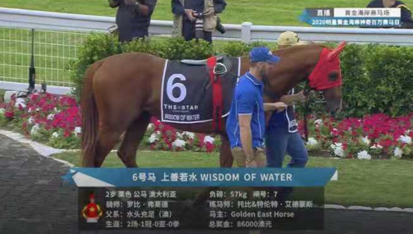 mmsnippets's tweet photo. How fantastic to see Magic Millions Raceday featured on China's Hainan TV last Saturday. We understand the first time a race meeting outside Victoria and NSW was featured on the network!
#MMGC2020 https://t.co/9Xxvru17kT
