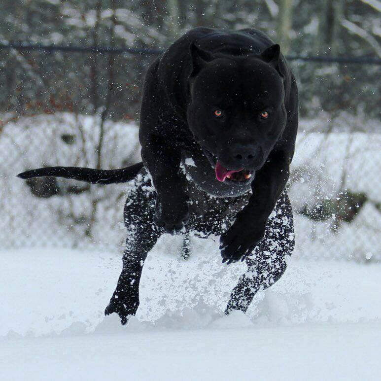 LucWorld32's tweet image. No amount of "futsek" can save you from this beast😒😂😂😂😂😂😂😂

#Cbd Twitter #NextTrend @next_trend