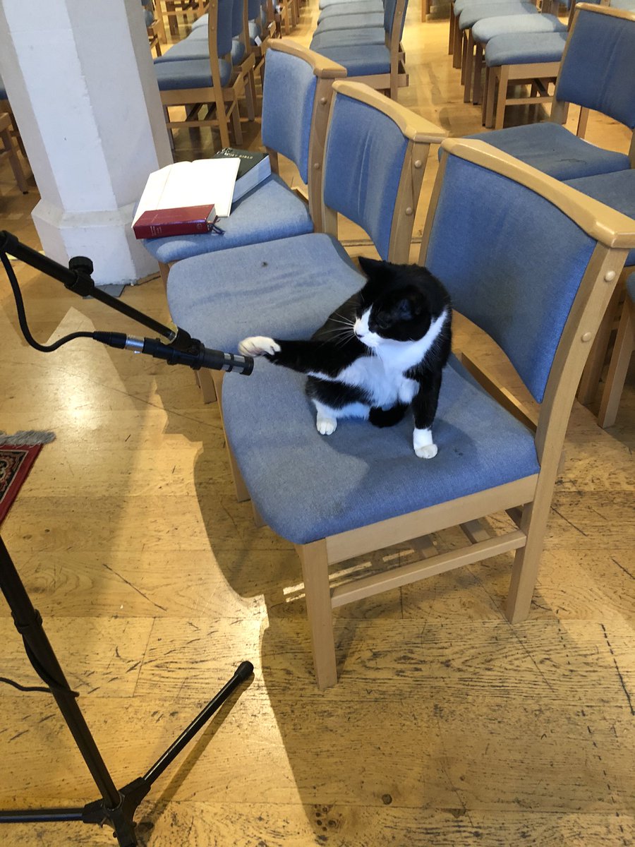 CatSpecr's tweet photo. #FridayMotivation Listen up, tonight is the #SleepoutChallenge       (https://t.co/BFAJihNuEs) and I have a few rules... https://t.co/4uV7729qYS